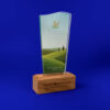 Freestanding Acrylic Award standard shape with real wood base
