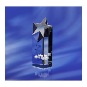 Lone Star Funds 3D Crystal Award