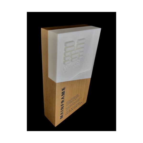 Mainframe 3D wood award