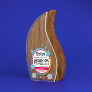 Real Wood Block Award With Acrylic Front basic standard shapes 2