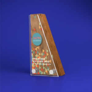 Real Wood Block Award With Acrylic Front basic standard shapes