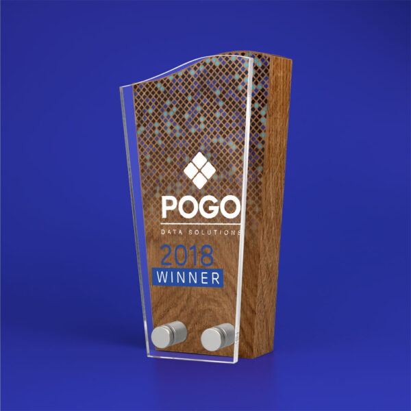 Real Wood Block Award With Acrylic Front basic standard shapes 4