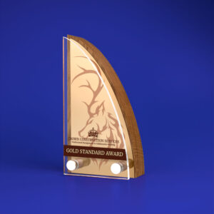 Real Wood Block Award With Metal Plate Acrylic Front basic standard shapes 2