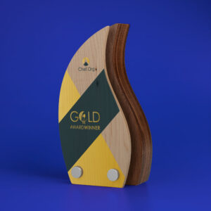 Real Wood Block Award With Wood Face Plate standard shapes 2